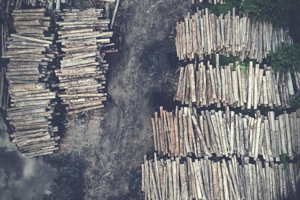 8 Ways the Fashion Industry Contributes to&nbsp;Deforestation